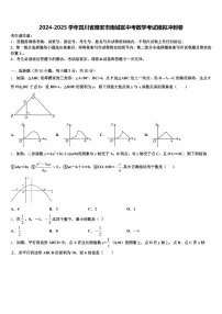 2024-2025学年四川省雅安市雨城区中考数学考试模拟冲刺卷含解析