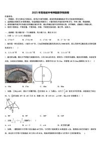 2025年青海省中考押题数学预测卷含解析