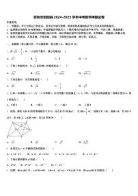 百色市田阳县2024-2025学年中考数学押题试卷含解析