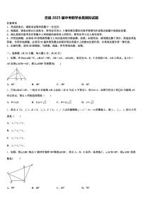 忠县2025届中考数学全真模拟试题含解析