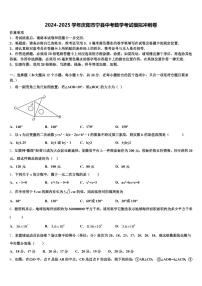 2024-2025学年庆阳市宁县中考数学考试模拟冲刺卷含解析
