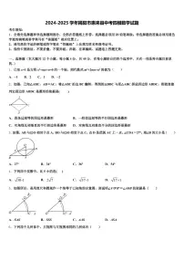 2024-2025学年揭阳市惠来县中考四模数学试题含解析