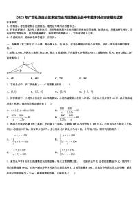 2025年广西壮族自治区来宾市金秀瑶族自治县中考数学对点突破模拟试卷含解析