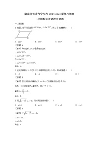 湖南省长沙市宁乡市2024-2025学年八年级下学期期末考试试卷数学试卷（解析版）