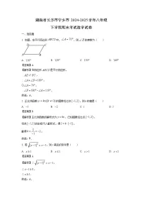 湖南省长沙市宁乡市2024-2025学年八年级下学期期末考试试卷数学试卷（解析版）