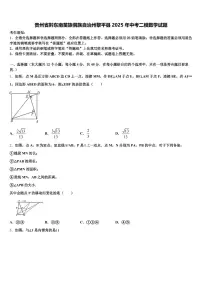 贵州省黔东南苗族侗族自治州黎平县2025年中考二模数学试题含解析