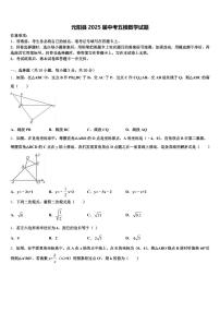 元阳县2025届中考五模数学试题含解析