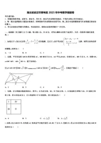 湖北省武汉市蔡甸区2025年中考数学猜题卷含解析