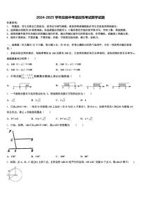 2024-2025学年应县中考适应性考试数学试题含解析