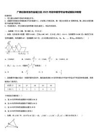 广西壮族河池市金城江区2025年初中数学毕业考试模拟冲刺卷含解析