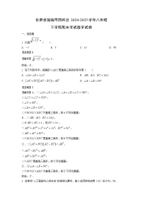 【数学】甘肃省陇南市西和县2024-2025学年八年级下学期期末考试试卷（解析版）