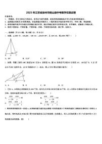2025年江苏省徐州市铜山县中考数学仿真试卷含解析
