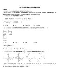2025年宣恩县中考数学模拟预测题含解析