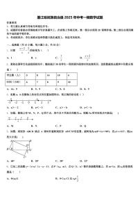 墨江哈尼族自治县2025年中考一模数学试题含解析