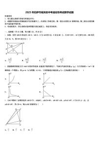 2025年拉萨市城关区中考适应性考试数学试题含解析
