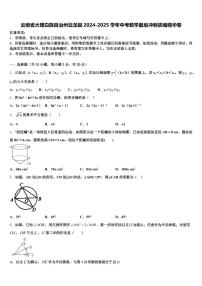 云南省大理白族自治州云龙县2024-2025学年中考数学最后冲刺浓缩精华卷含解析