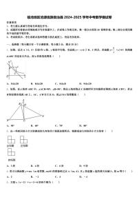 临沧地区沧源佤族自治县2024-2025学年中考数学模试卷含解析