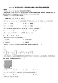 2025年广西壮族河池市大化瑶族自治县中考数学对点突破模拟试卷含解析