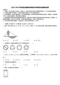 2024-2025学年湖北省襄樊市枣阳市中考数学全真模拟试卷含解析