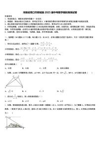 河南省周口市郸城县2025届中考数学模拟预测试卷含解析