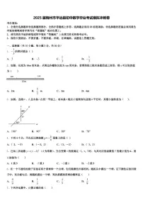 2025届梅州市平远县初中数学毕业考试模拟冲刺卷含解析
