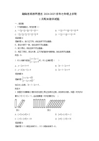 湖南省常德市澧县2024-2025学年七年级上学期1月期末数学试题（解析版）