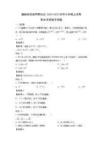 湖南省娄底市新化县2024-2025学年七年级上学期期末考试数学试题（解析版）