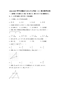 安徽省六安市第九中学2024~2025学年九年级上学期期末数学试卷