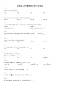 2024年北京市朝阳区初一上学期分班考数学试卷RDF（有答案解析）