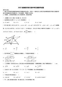 2025届南阳市淅川县中考五模数学试题含解析