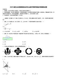 2025届文山壮族苗族自治州文山县中考数学最后冲刺模拟试卷含解析