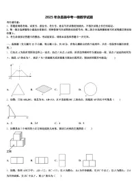 2025年永昌县中考一模数学试题含解析