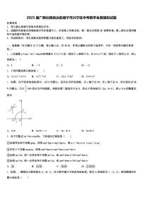 2025届广西壮族自治区南宁市兴宁区中考数学全真模拟试题含解析