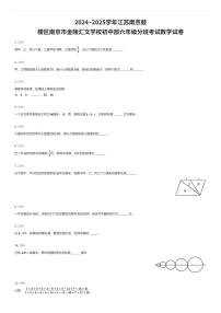 2024~2025学年江苏南京鼓楼区南京市金陵汇文学校初中部初一上学期入学分班考试数学试卷（有答案解析）