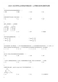 2024~2025学年山东青岛市南区初一上学期入学分班考试数学试卷（有答案解析）