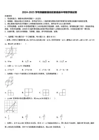 2024-2025学年西藏那曲地区那曲县中考数学模试卷含解析