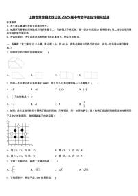 江西省景德镇市珠山区2025届中考数学适应性模拟试题含解析