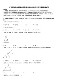 广西壮族自治区百色市西林县2024-2025学年中考数学仿真试卷含解析