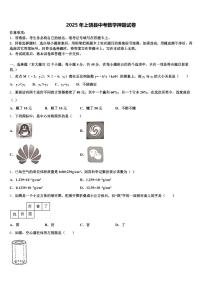 2025年上饶县中考数学押题试卷含解析