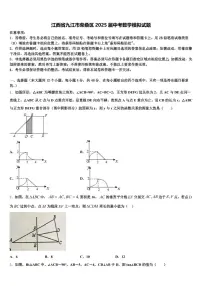 江西省九江市柴桑区2025届中考数学模拟试题含解析