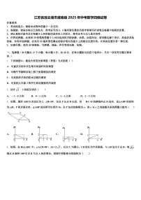 江苏省连云港市灌南县2025年中考数学四模试卷含解析