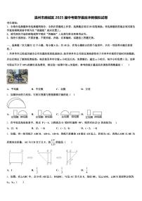 温州市鹿城区2025届中考数学最后冲刺模拟试卷含解析
