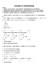 六安市金寨县2025届中考数学模拟试题含解析