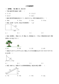 安徽省宿州市第十一中学2024-2025学年八年级上学期第二次月考数学试卷