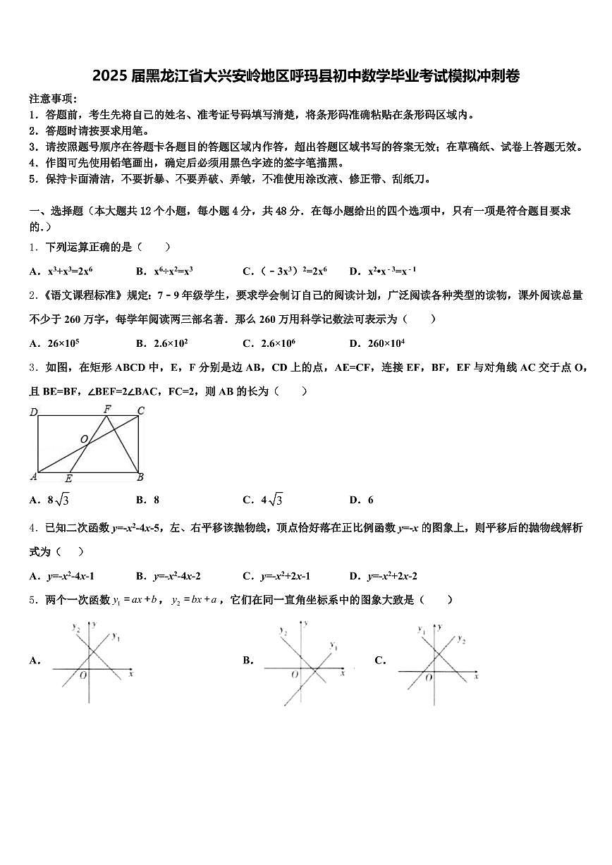 2025届黑龙江省大兴安岭地区呼玛县初中数学毕业考试模拟冲刺卷含解析第1页