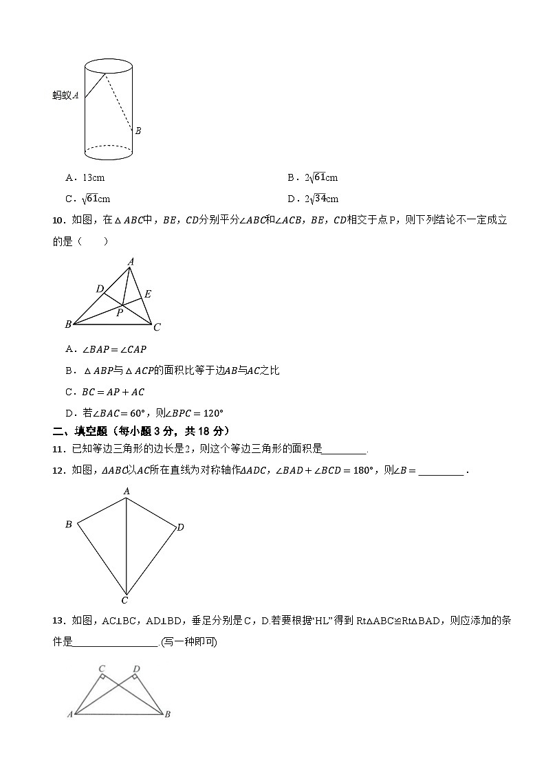 第一章《特殊三角形》—2025-2026学年浙教版(2024)数学八年级上册单元基础测试卷第3页