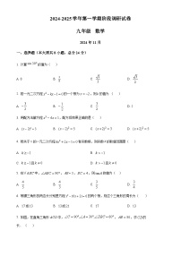 江苏省苏州市苏州工业园区星港，东沙湖，景城三校2024-2025学年上学期九年级数学期中试卷(含部分答案)