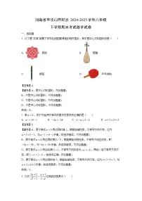 河南省平顶山市郏县2024-2025学年八年级下学期期末考试数学试卷（解析版）