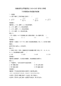 河南省周口市鹿邑县2024-2025学年八年级下学期期末考试数学试卷（解析版）