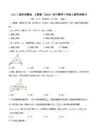 人教版（2024）八年级上册（2024）13.1 三角形的概念精品练习